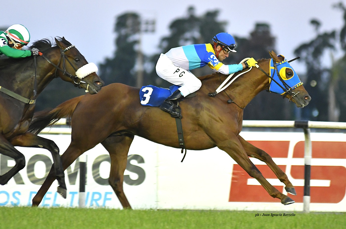 Dar La Paz (Roman Ruler) ganó Condicional (1600m-Pasto-SI). - Staff ElTurf.com