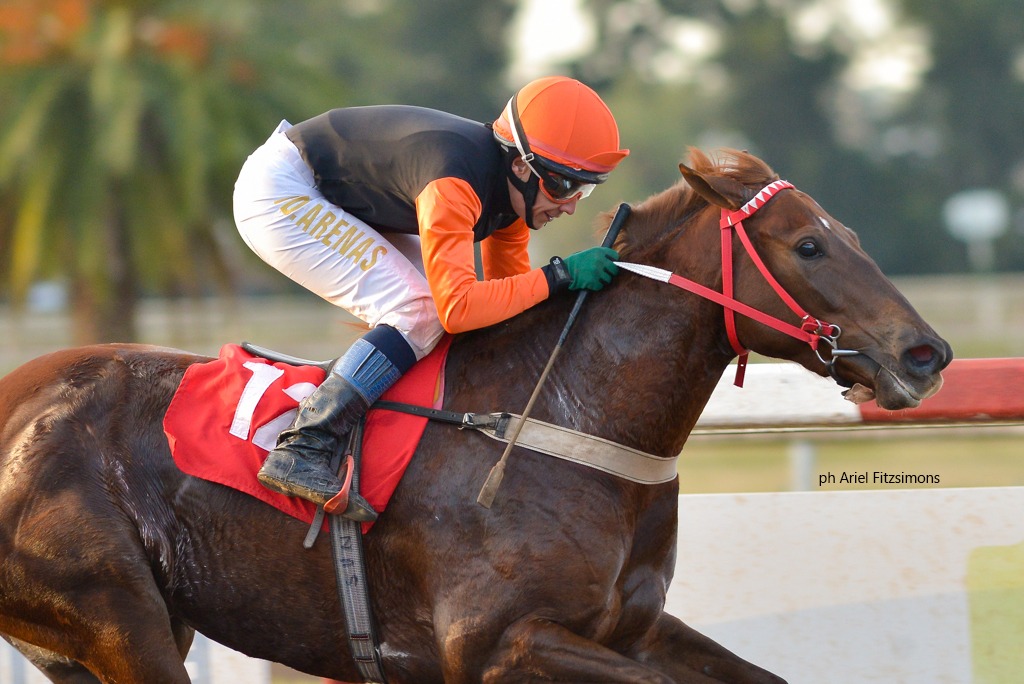 Estrellas De Luz (Sidney´s Candy) se queda con Condicional (1400m-Arena-LP). - Staff ElTurf.com