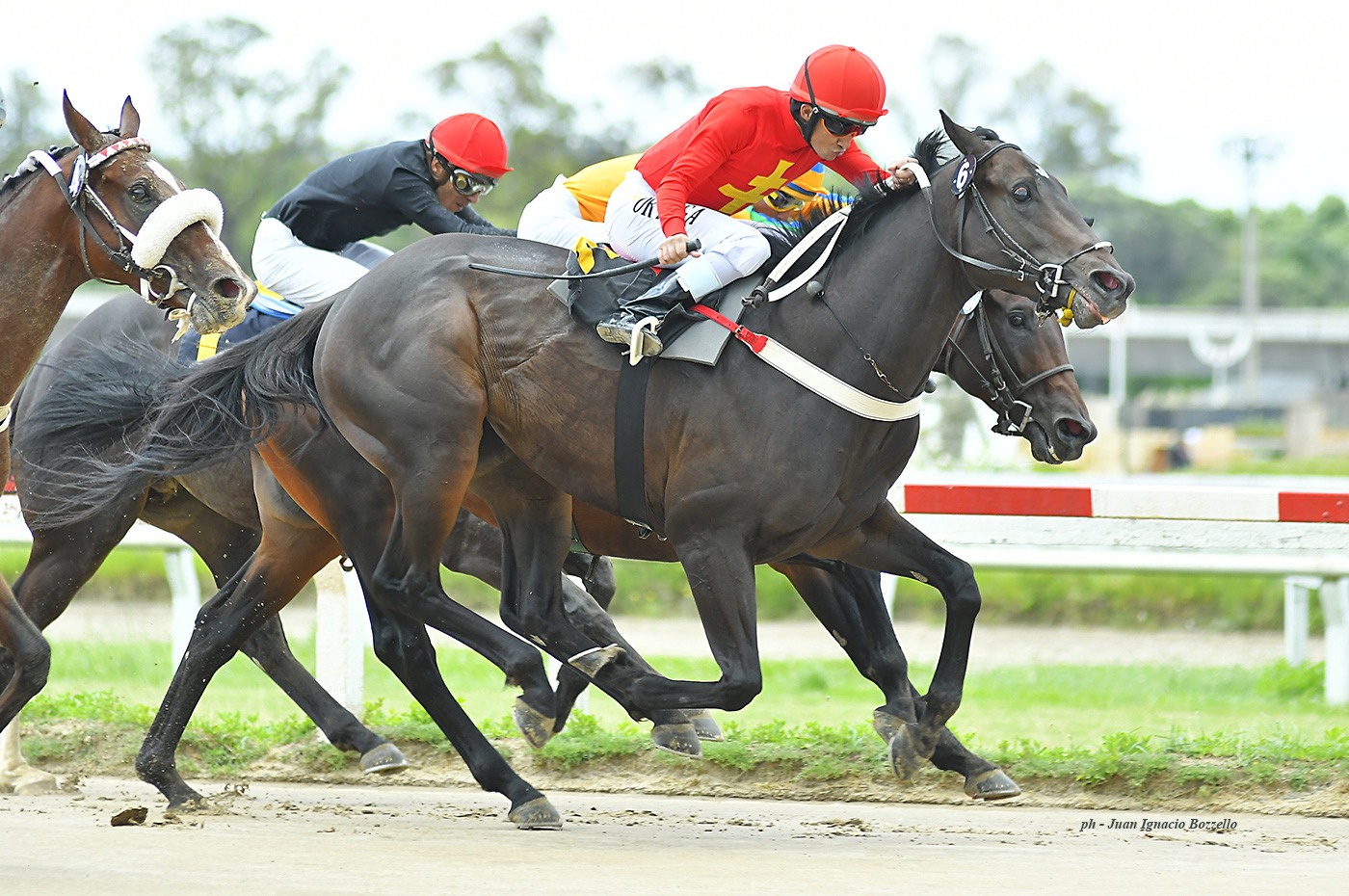 Vuemont (Easing Along) ganó Condicional (1200m-Arena-PAL). - Staff ElTurf.com