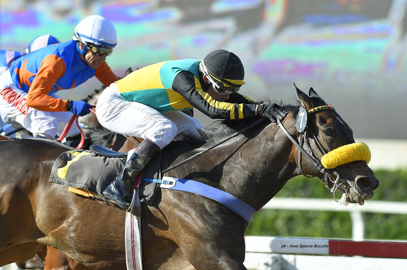 Cipressi (Easing Along) se queda con la victoria en Condicional (1400m-Arena-PAL). - Staff ElTurf.com