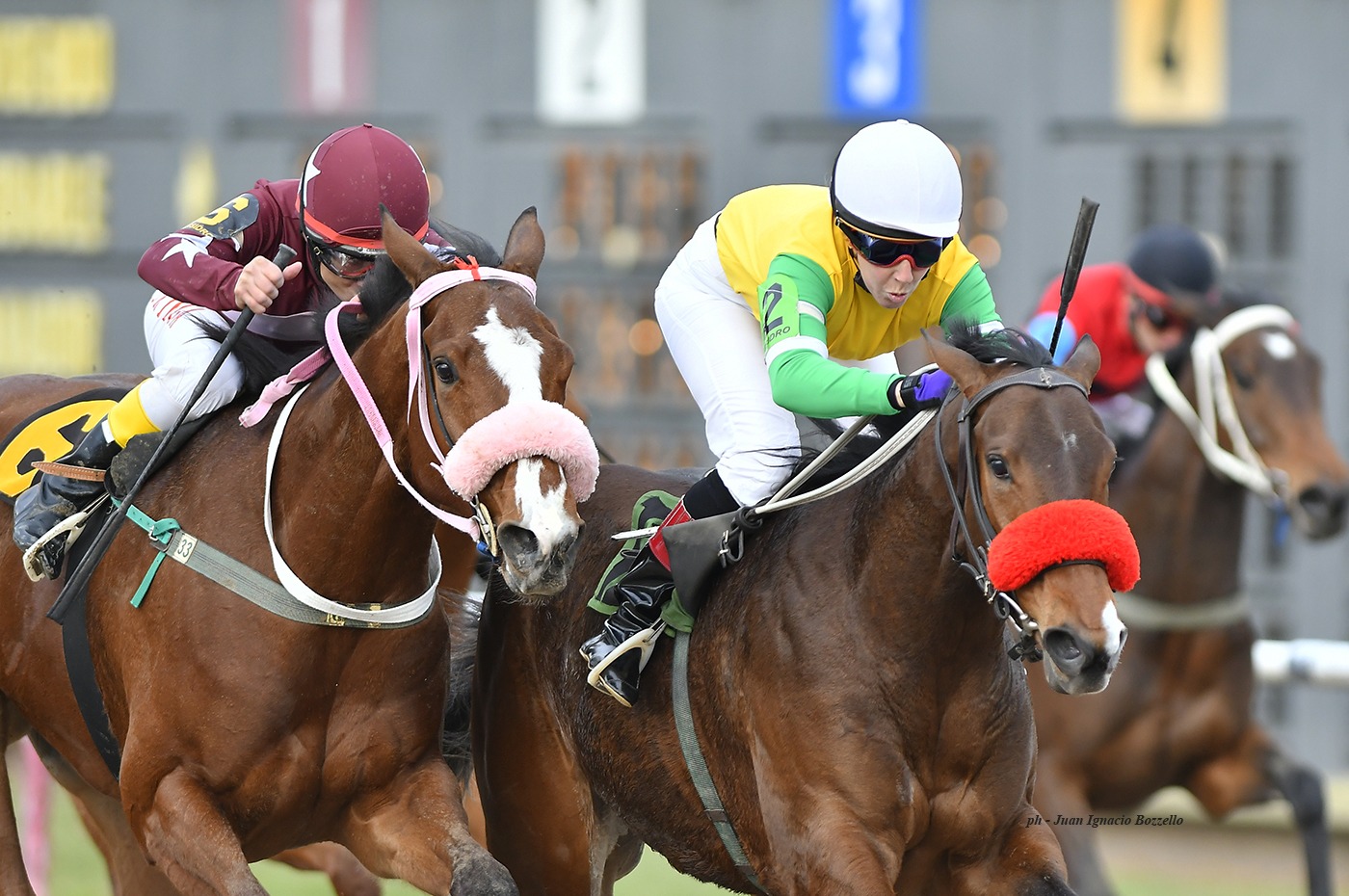 Plena De Luz (Star Dabbler) se impuso en Condicional (1400m-Arena-SI). - Staff ElTurf.com