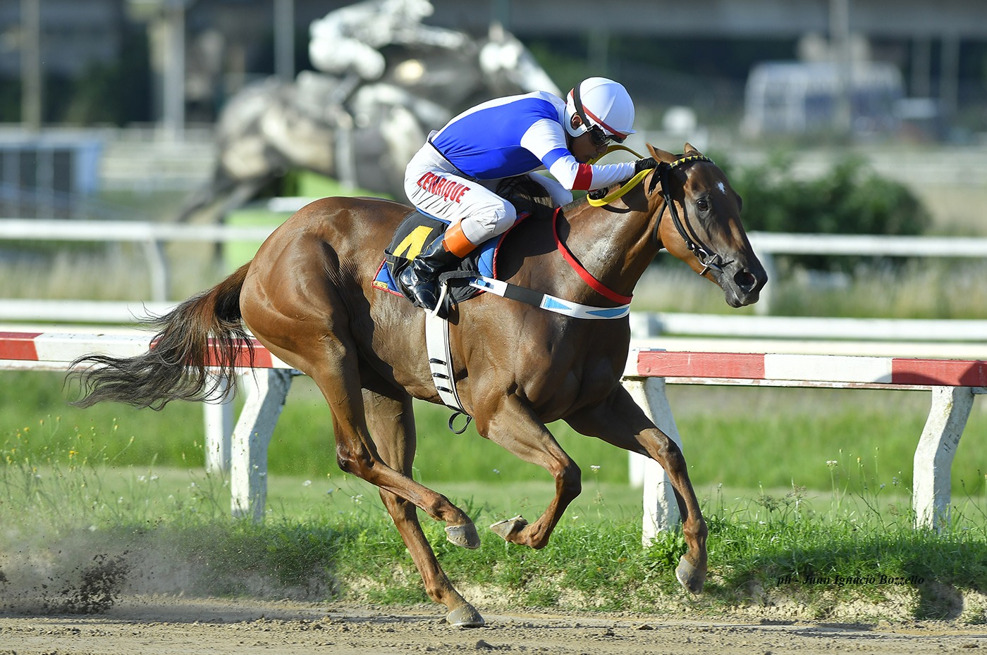 Enough Said (Equal Stripes) se adjudica Condicional (1200m-Arena-PAL). - Staff ElTurf.com
