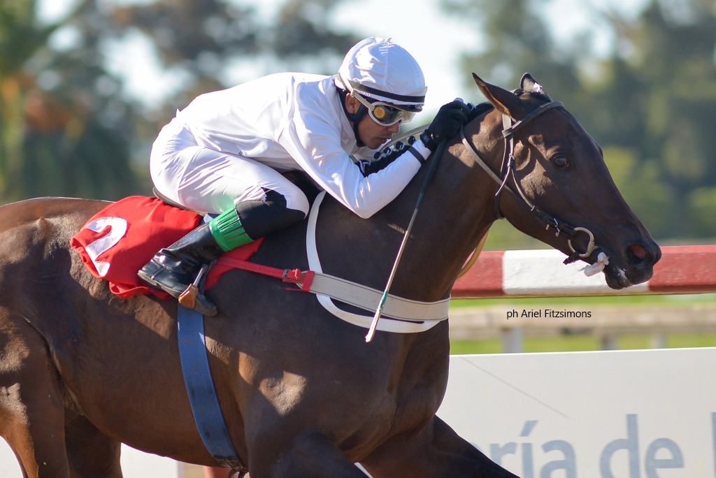 Miss Ibiza (Expressive Halo) gana Condicional (1400m-Arena-LP). - Staff ElTurf.com