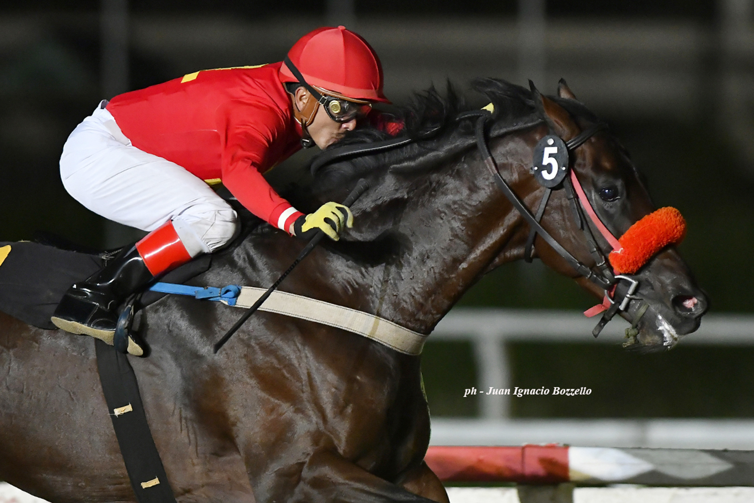 Mallol (Manipulator) se quedó con la victoria en Condicional (1600m-Arena-PAL). - Staff ElTurf.com
