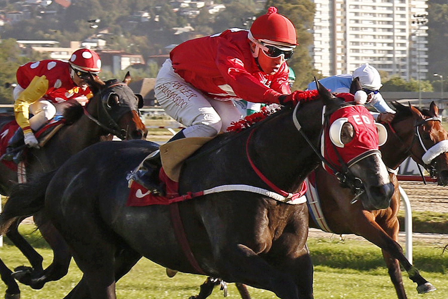 Flash Flink y otro 1-2 del stud Aida Anabella en Viña - Sebastián Bravo