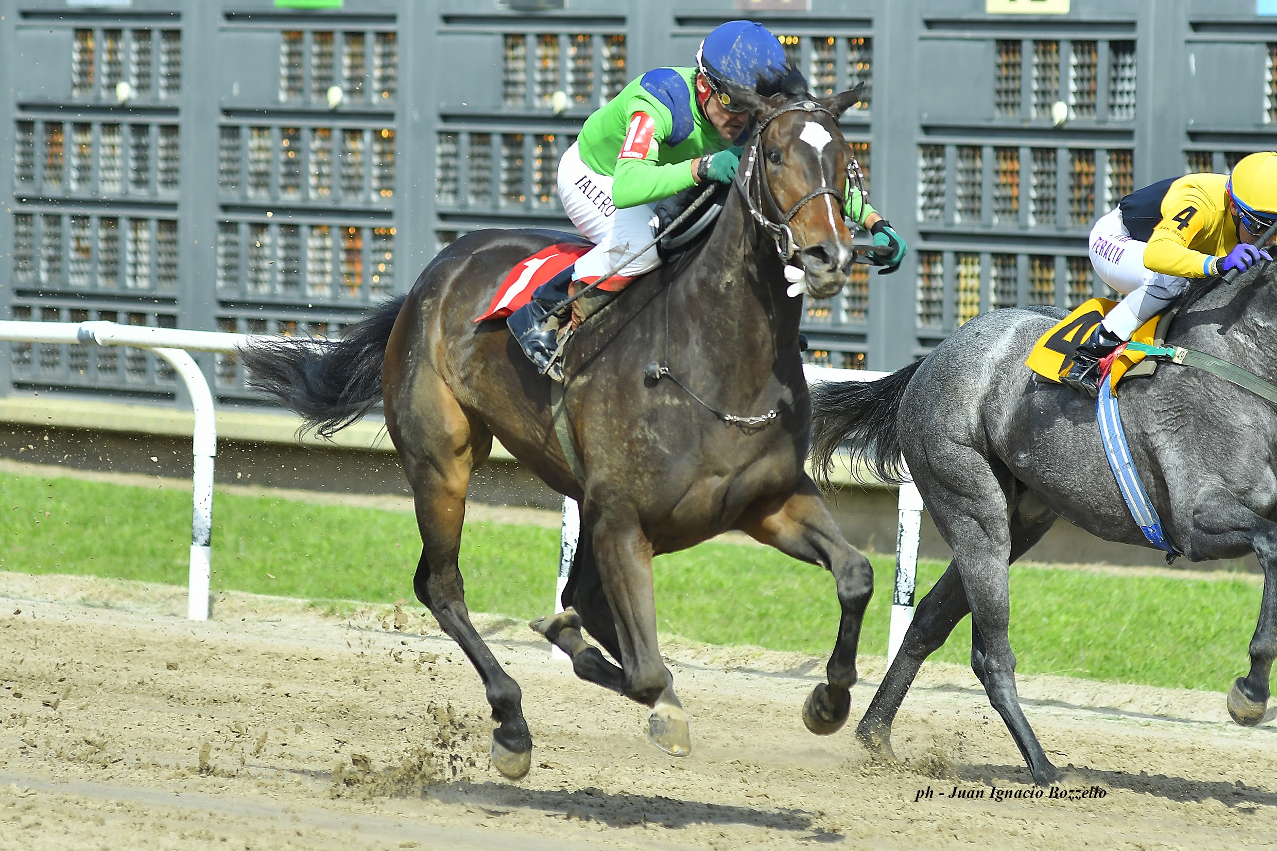 Tierra Africana (Roman Ruler) se lleva Condicional (1200m-Arena-SI). - Staff ElTurf.com