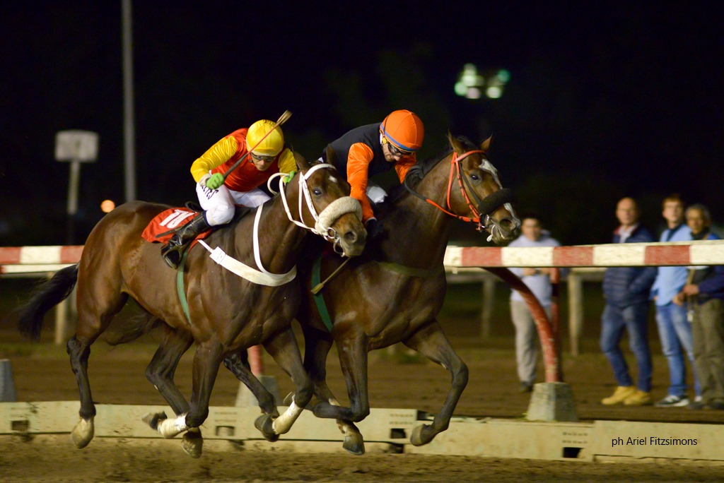 Sioropaluk (Jump Start) se adjudica Condicional (2000m-Arena-LP). - Staff ElTurf.com