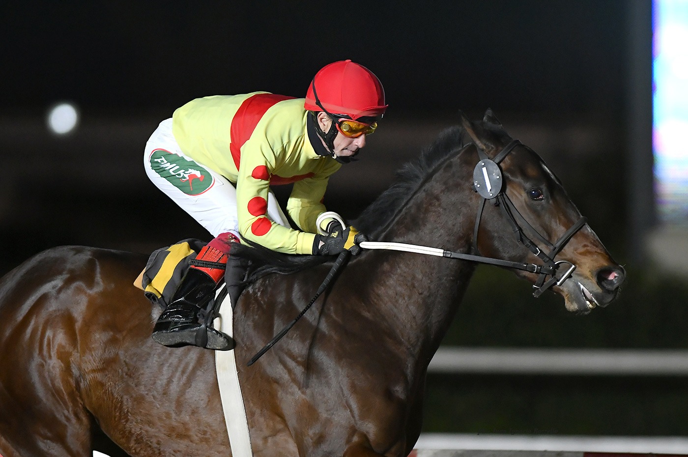Interboy (Asiatic Boy) se impuso en Condicional (1600m-Arena-PAL). - Staff ElTurf.com