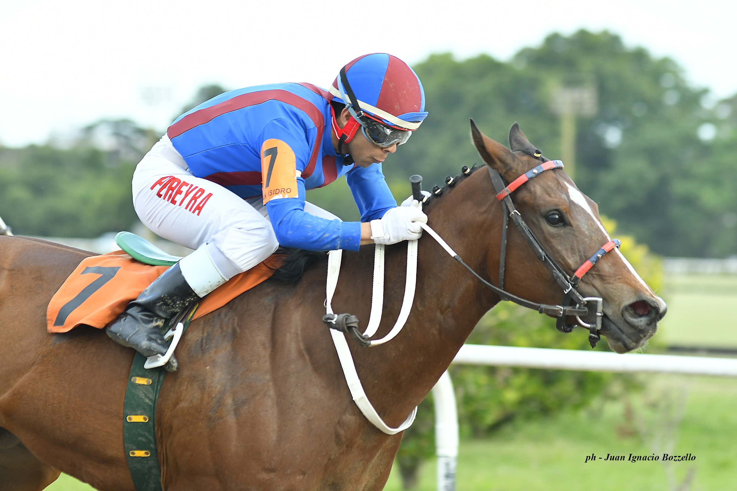 Instagrameada (Asiatic Boy) gana Condicional (1200m-Arena-SI). - Staff ElTurf.com