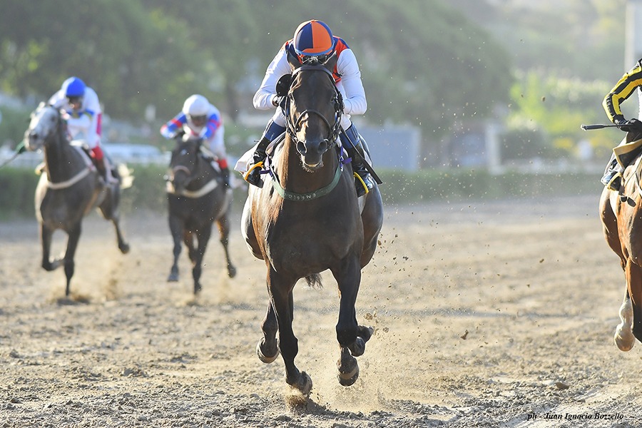 Frazier (Wild Event) conquistó el Clásico Irineo Leguisamo (2000m-Arena-PAL). - Staff ElTurf.com