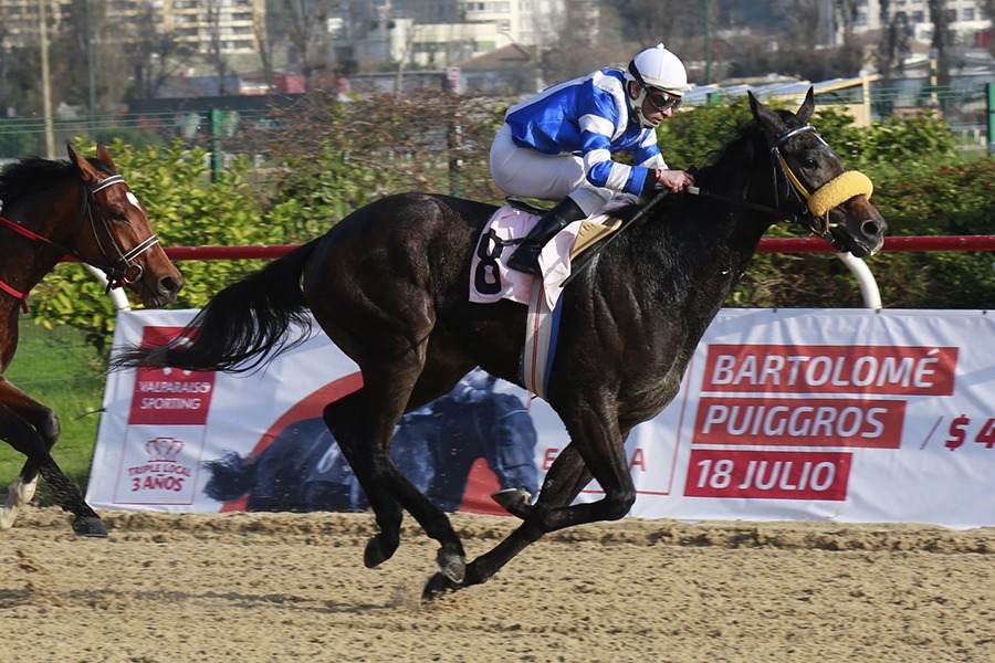 Che Andina (Cima De Triomphe) gana Condicional (1300m-Arena-VSC). - Staff ElTurf.com