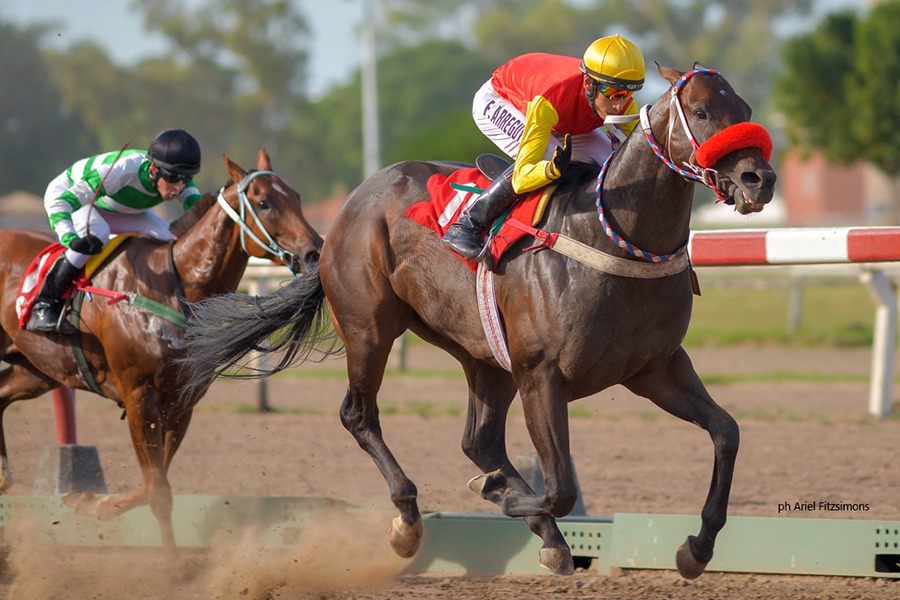 Ametz (Angiolo) se queda con Condicional (1000m-Arena-LP). - Staff ElTurf.com