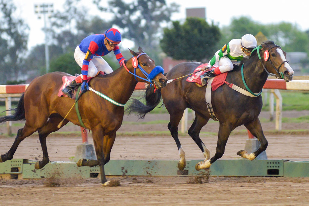 Isleña Emperatriz (Emperor Richard) se impuso en el Clásico Eusonio C. Boni (1100m-Arena-LP). - Staff ElTurf.com