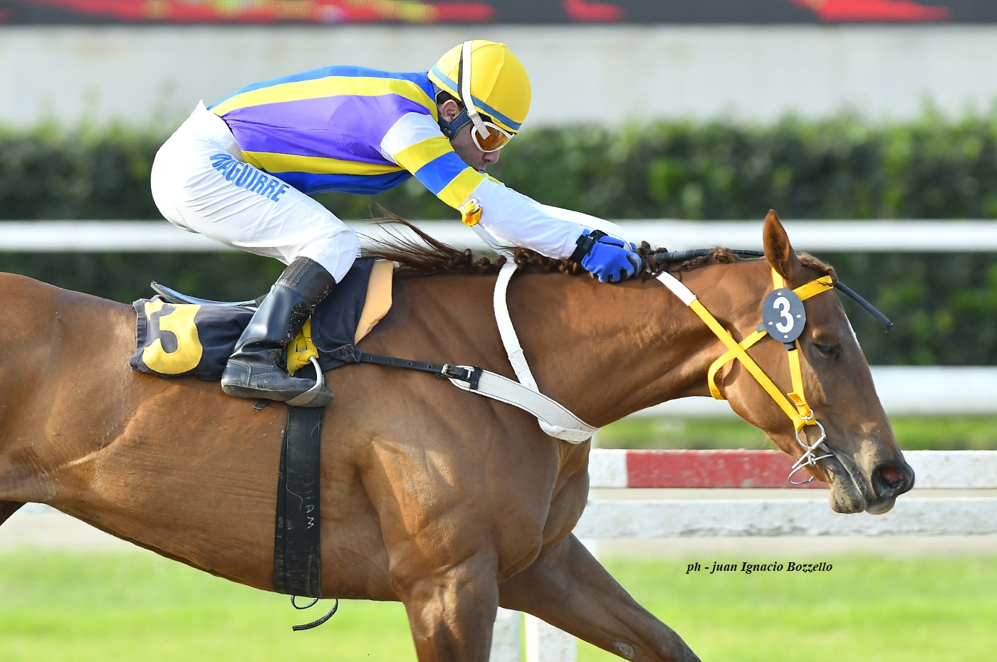 Gran Optima (Grand Reward) se adjudica Condicional (1600m-Arena-PAL). - Staff ElTurf.com
