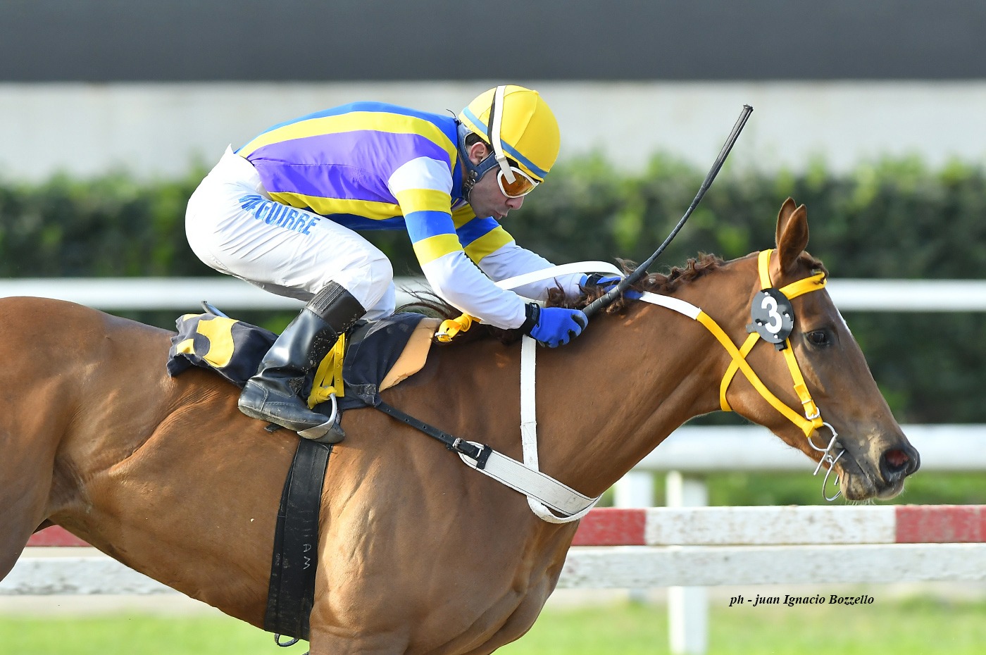 Gran Optima (Grand Reward) se adjudica Condicional (1600m-Arena-PAL). - Staff ElTurf.com