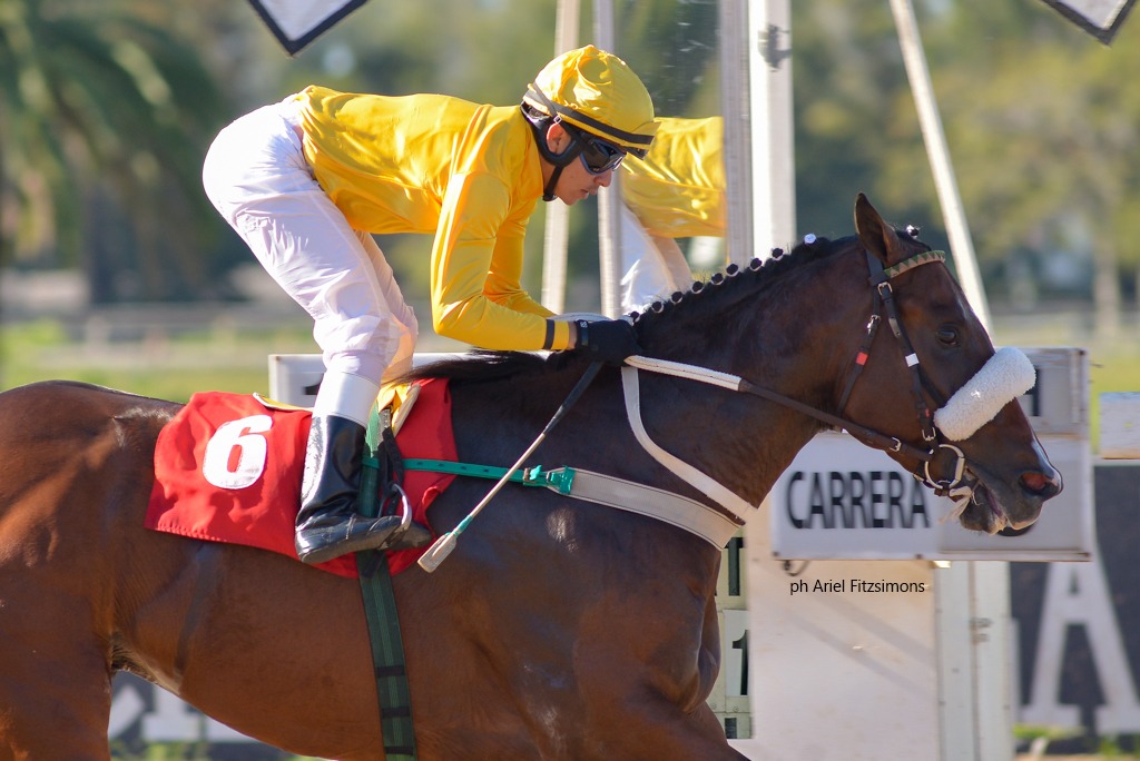 The Performer (Grand Reward) conquistó Condicional (1000m-Arena-LP). - Staff ElTurf.com