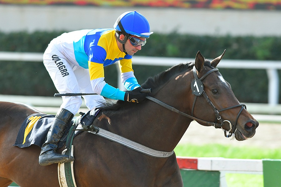 Jackman (Grand Reward) se queda con Condicional (1200m-Arena-PAL). - Staff ElTurf.com