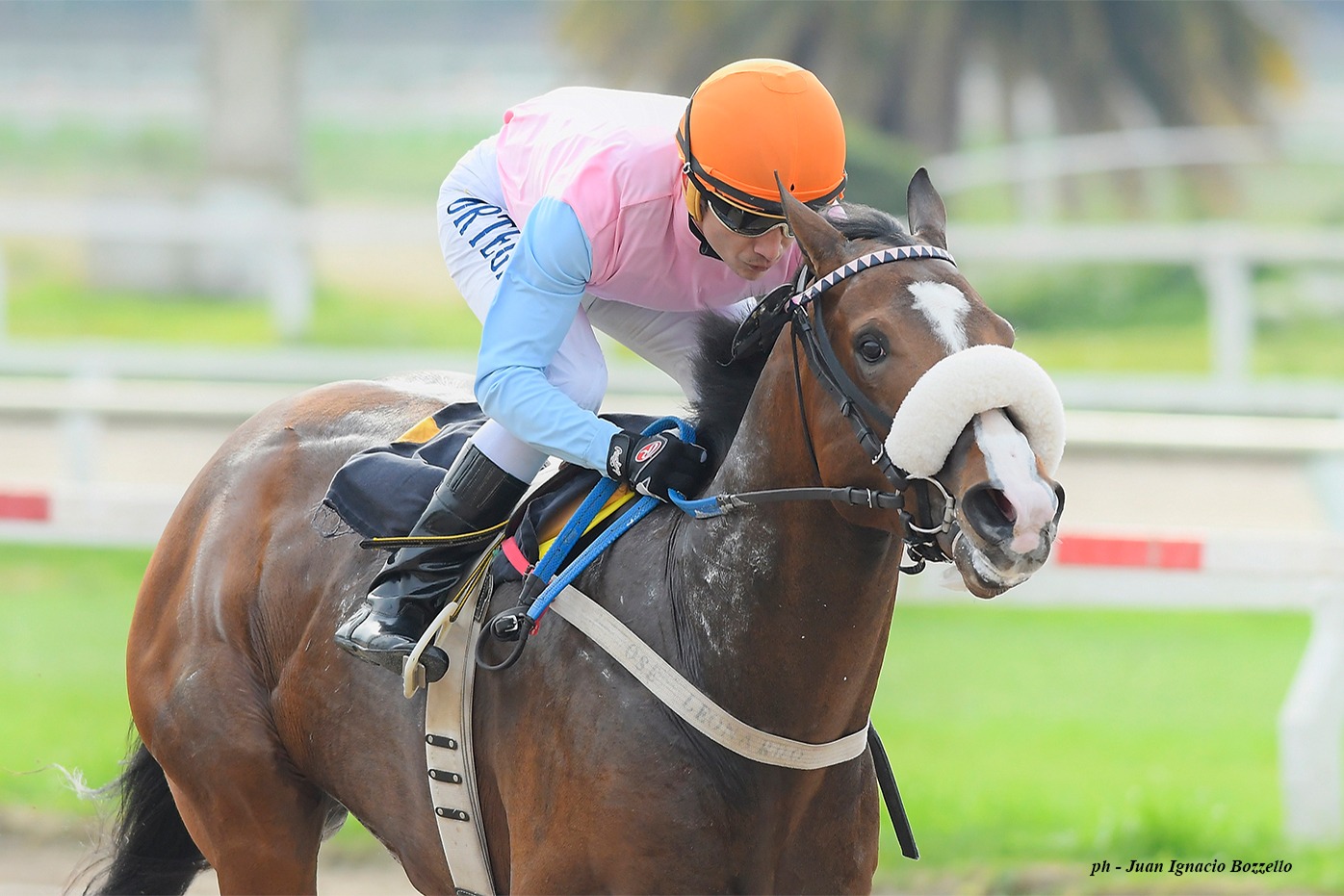 Legion De Honor (Grand Reward) se impuso en Condicional (1000m-Arena-PAL). - Staff ElTurf.com