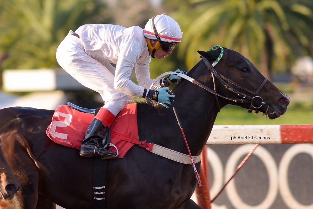 Le Colisee (Fire Slam) ganó Condicional (1200m-Arena-LP). - Staff ElTurf.com
