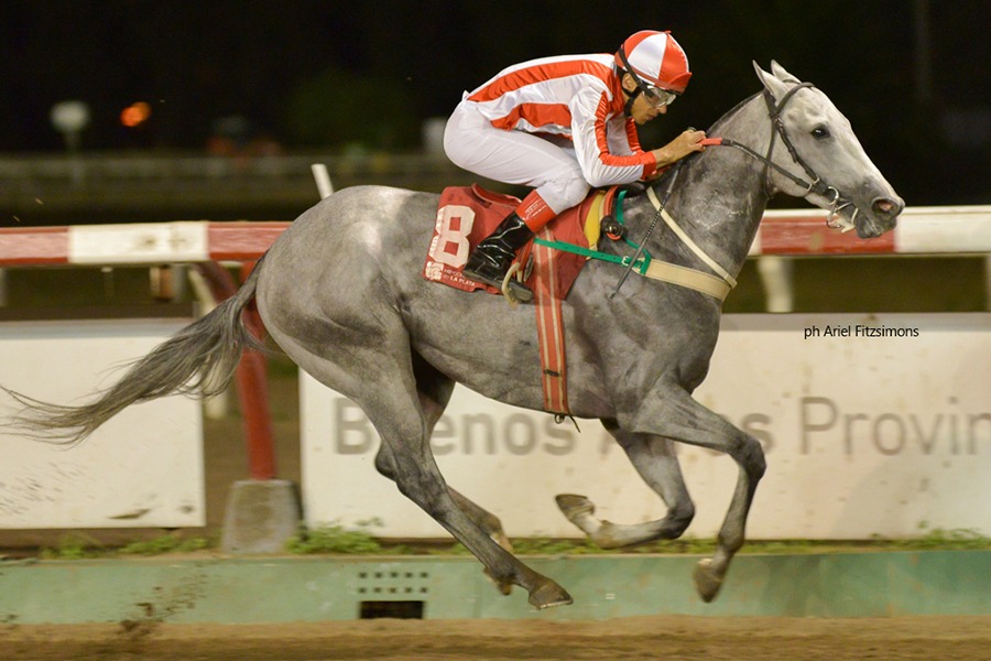 Rockanrolero (Buddha) se queda con Condicional (1100m-Arena-LP). - Staff ElTurf.com
