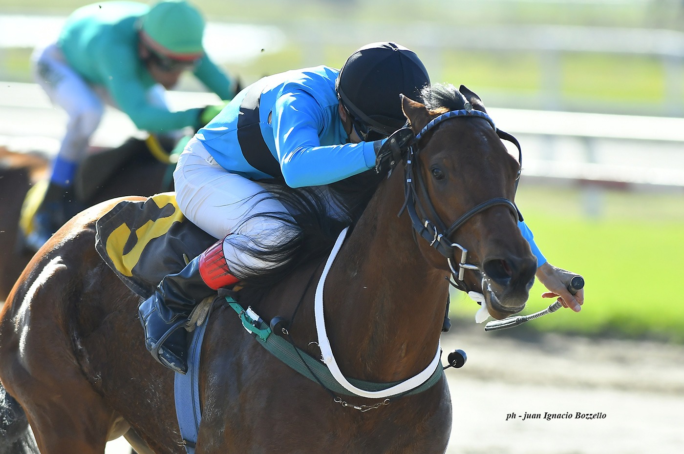 Chelsea Key (Key Deputy) se lleva Condicional (1000m-Arena-PAL). - Staff ElTurf.com