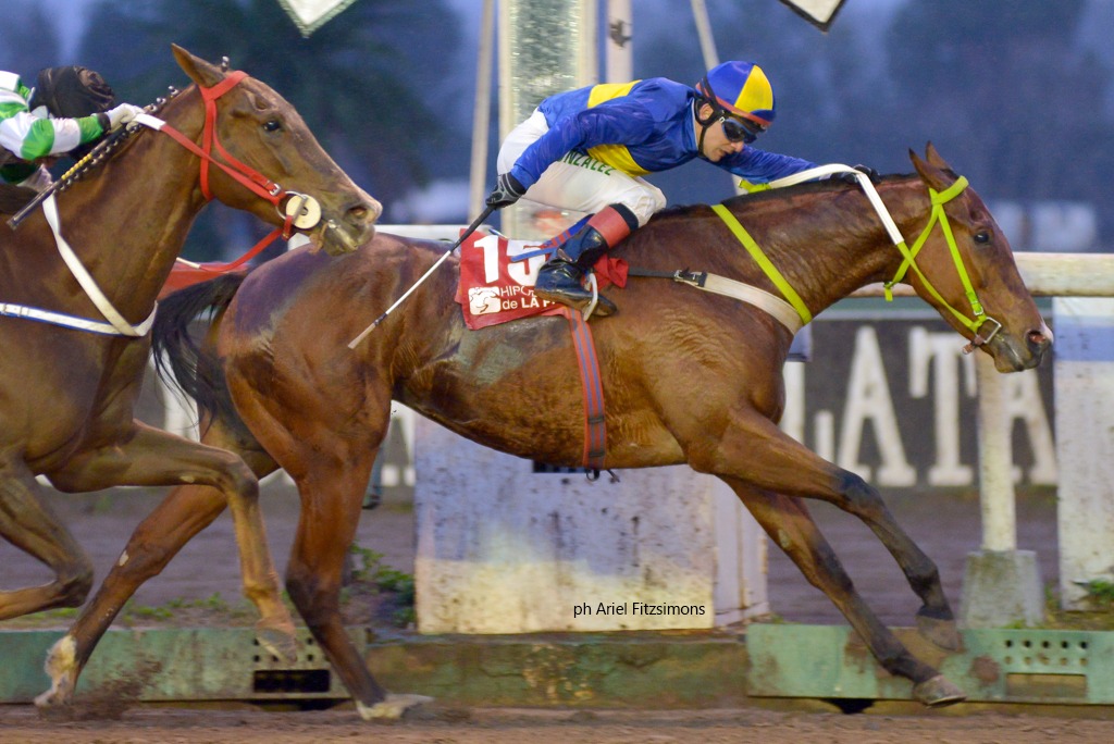 Typical Female (Termi Nov) gana Condicional (1200m-Arena-LP). - Staff ElTurf.com