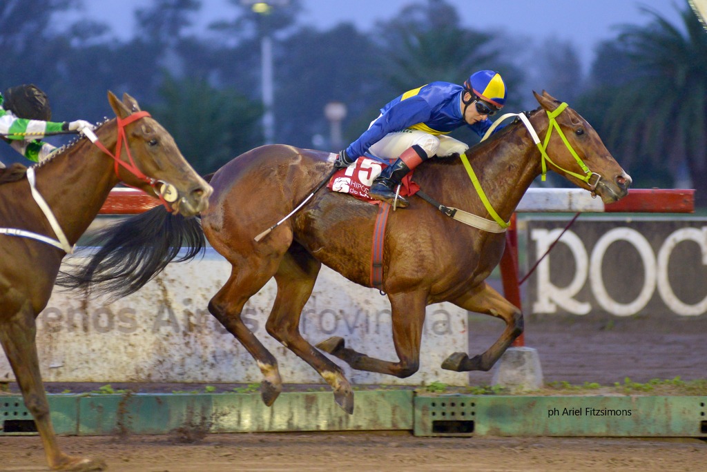 Typical Female (Termi Nov) gana Condicional (1200m-Arena-LP). - Staff ElTurf.com