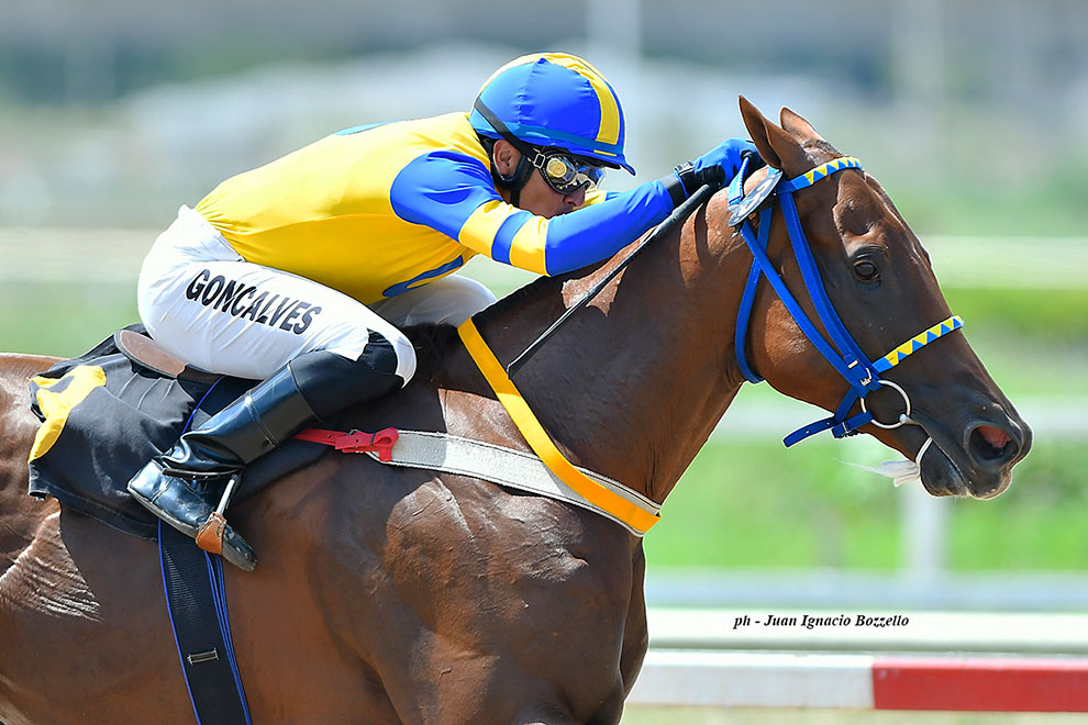 Thomas Call (Angiolo) se lleva Condicional (1200m-Arena-PAL). - Staff ElTurf.com