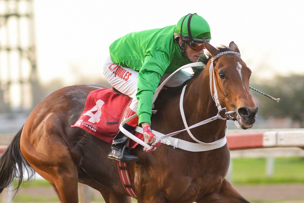 La Noche Estrellada (Angiolo) se queda con Condicional (1000m-Arena-LP). - Staff ElTurf.com