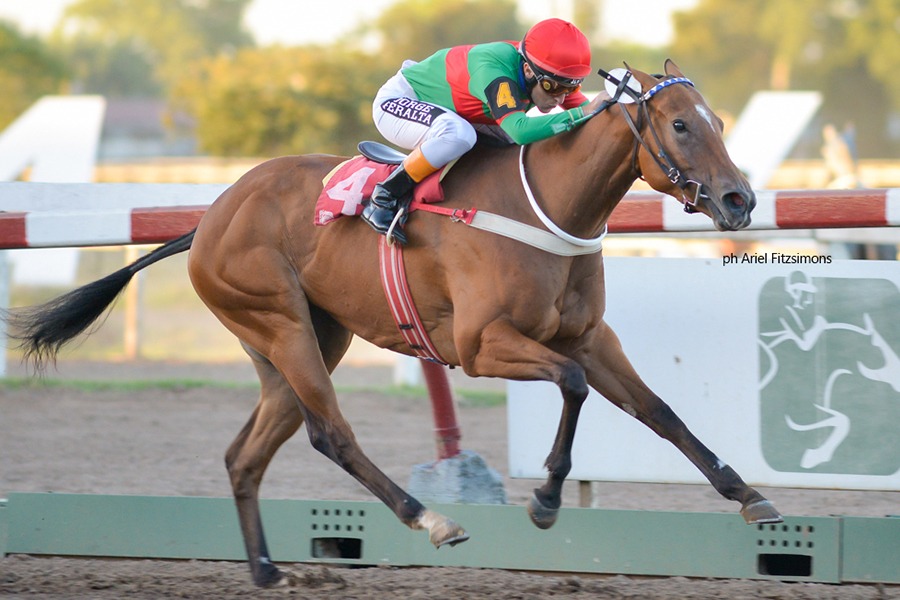 Una Pasion (Tan Chemistry) gana el Clásico Derli A. Gomez (G3-1200m-Arena-LP). - Staff ElTurf.com