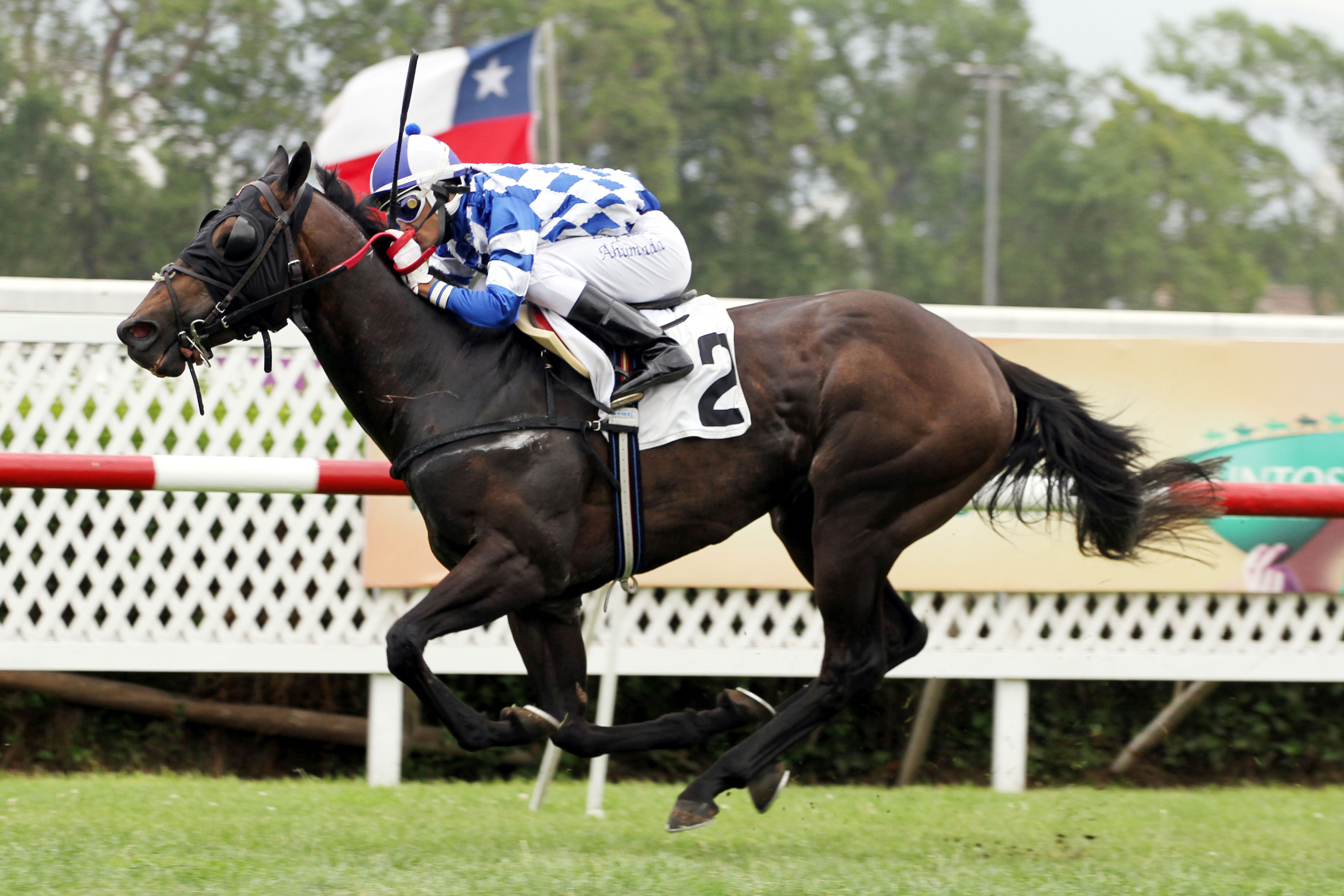 Scarsece (Mastercraftsman) se adjudica Condicional (1200m-Pasto-CHS). - Staff ElTurf.com