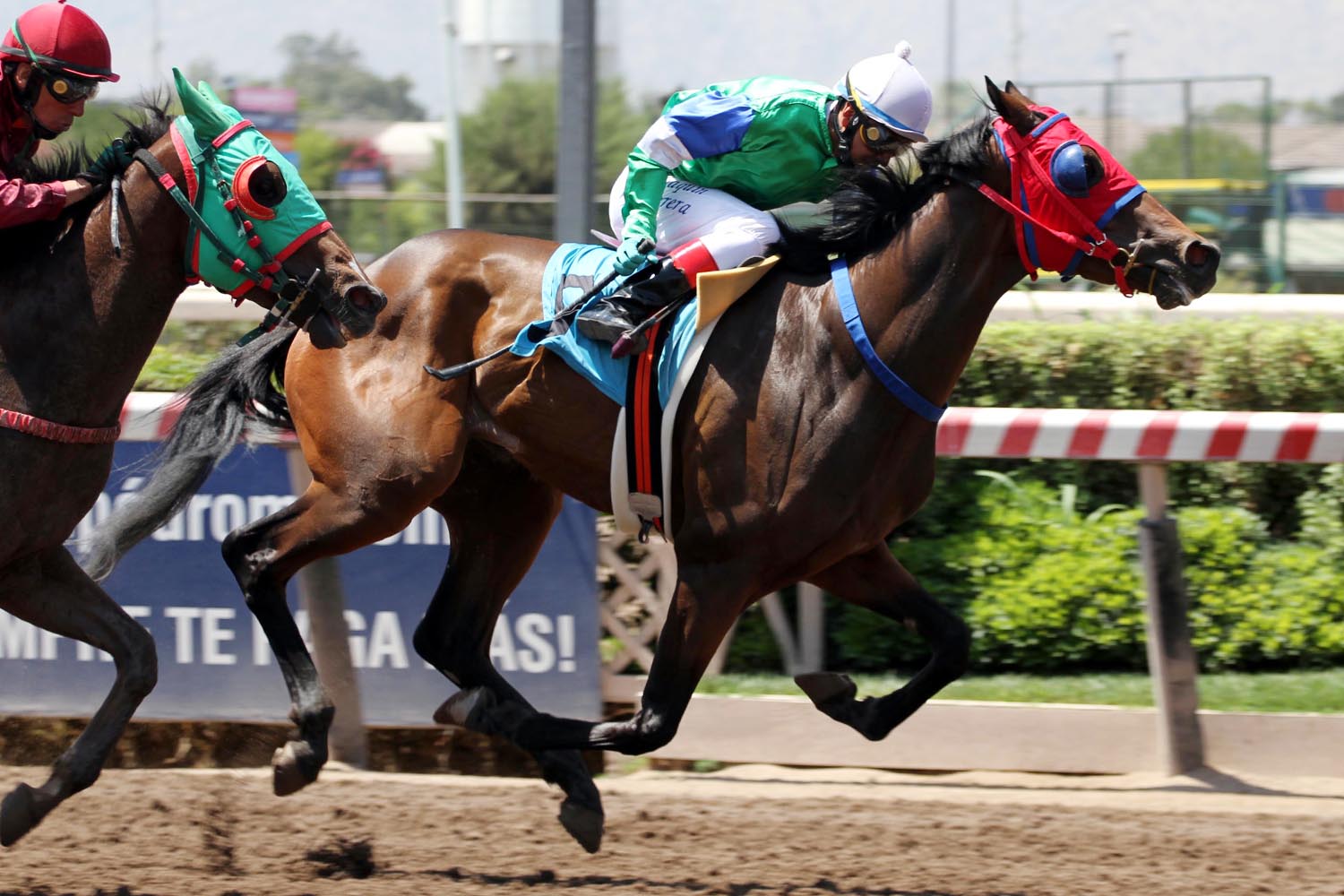 Terrible Sui (Terrible Lucho) se quedó con la victoria en Condicional (1000m-Arena-HCH). - Staff ElTurf.com
