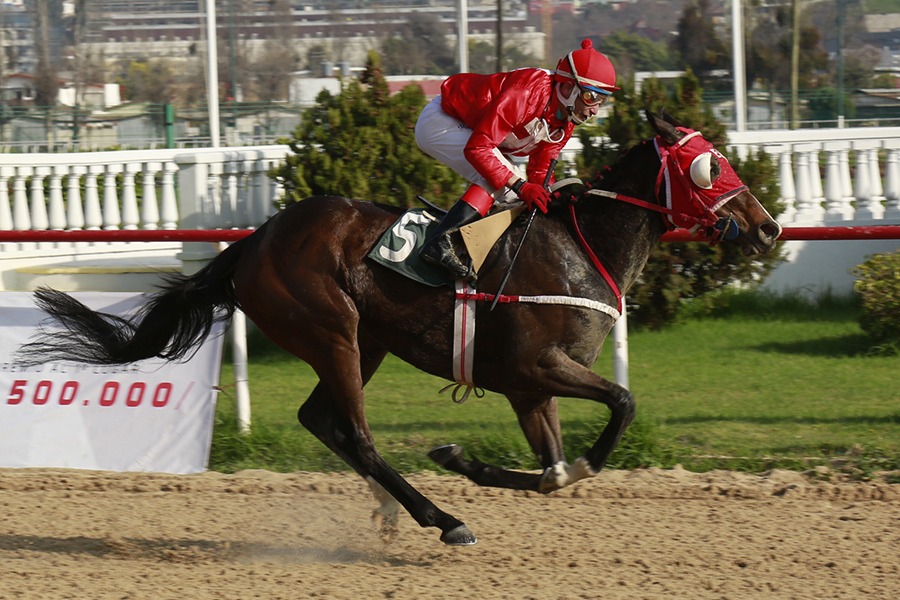 Digna Es (Lookin At Lucky) se queda con Condicional (1100m-Arena-VSC). - Staff ElTurf.com