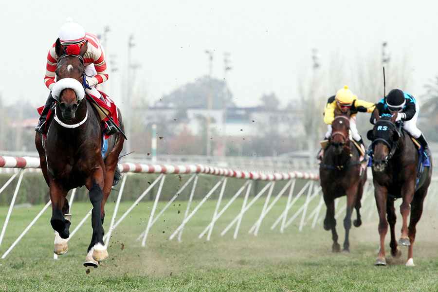 El Picaro (Lookin At Lucky) se adjudicó Condicional (1600m-Pasto-CHS). - Staff ElTurf.com