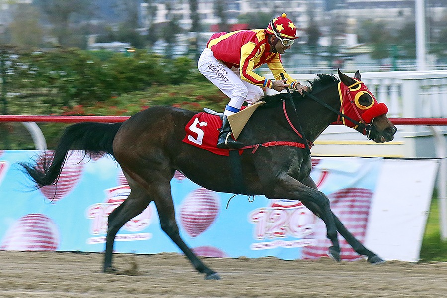 Señora Antonia (Daddy Long Legs) se queda con el Clásico República De Italia (1000m-Pasto-VSC). - Staff ElTurf.com