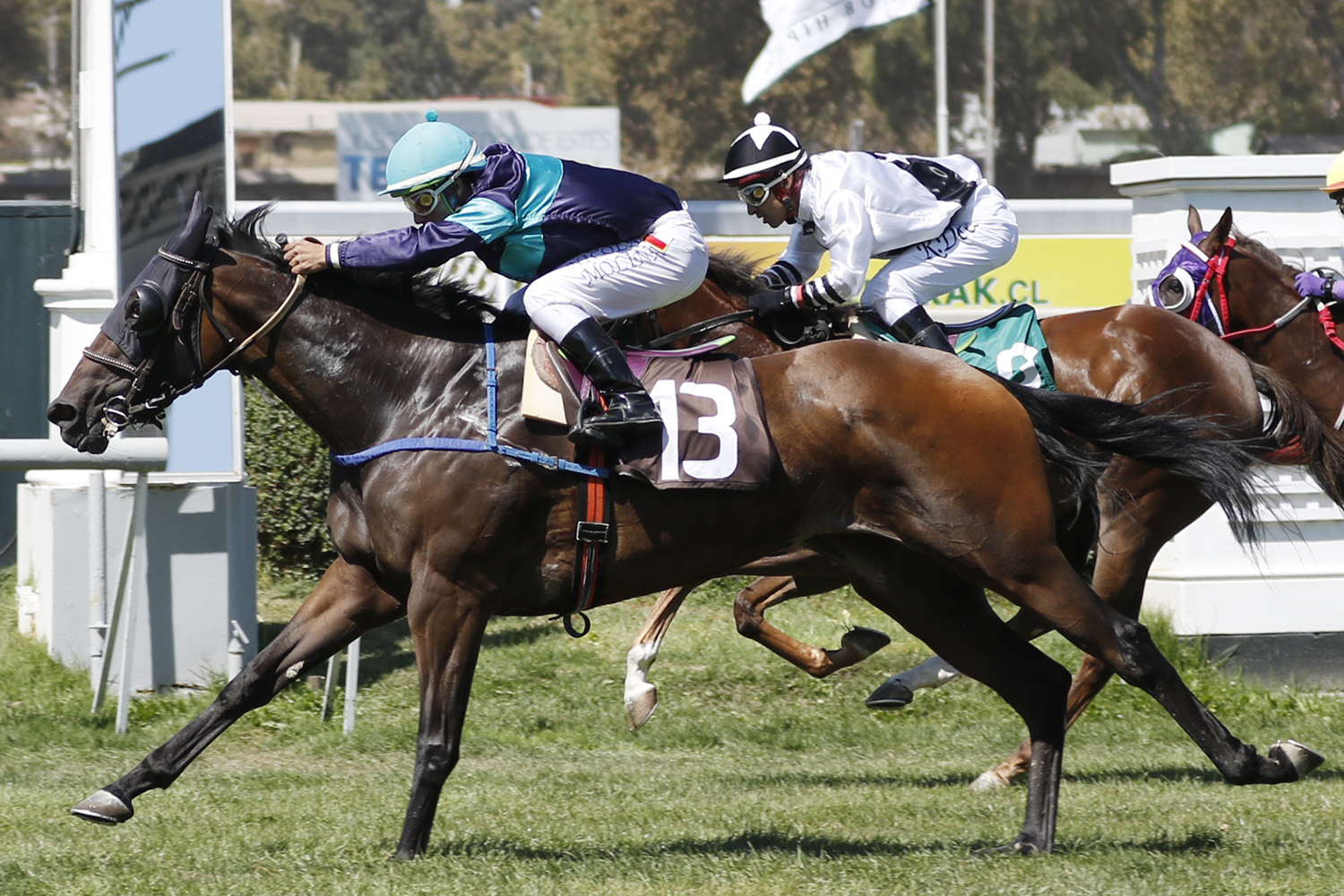 Radio Tour (Passion for Gold) se queda con la victoria en Condicional (1000m-Pasto-CHS). - Staff ElTurf.com