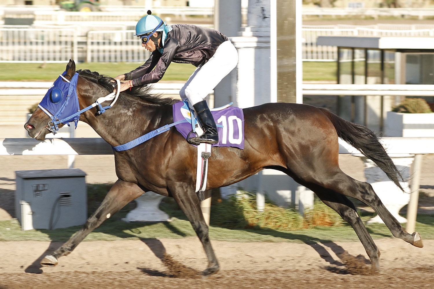 Q´Baronty (Layman) ganó Handicap (1400m-Arena-CHS). - Staff ElTurf.com