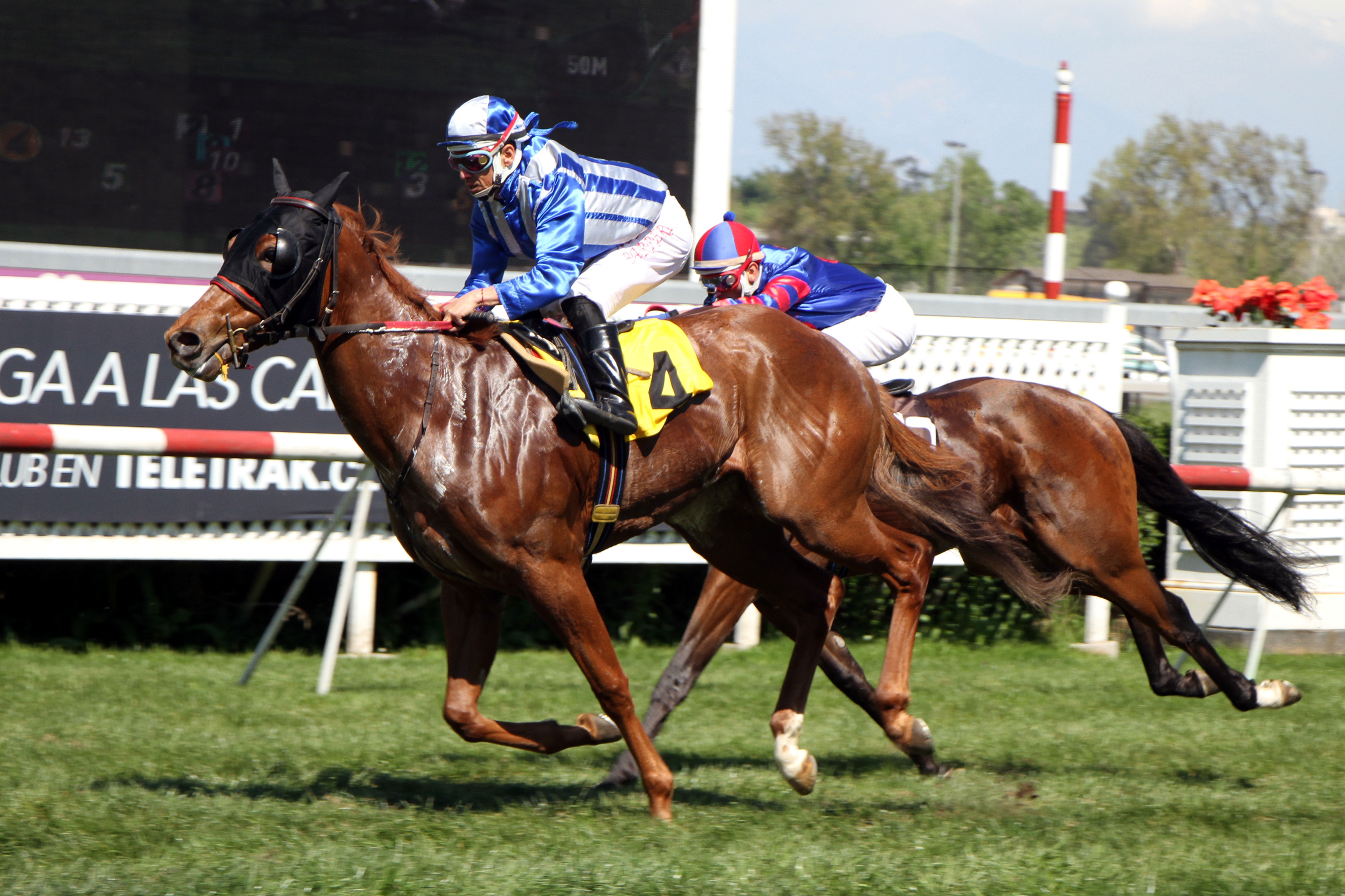 Wishyouluck (Dunkirk) brilló en Condicional (1000m-Pasto-CHS). - Staff ElTurf.com