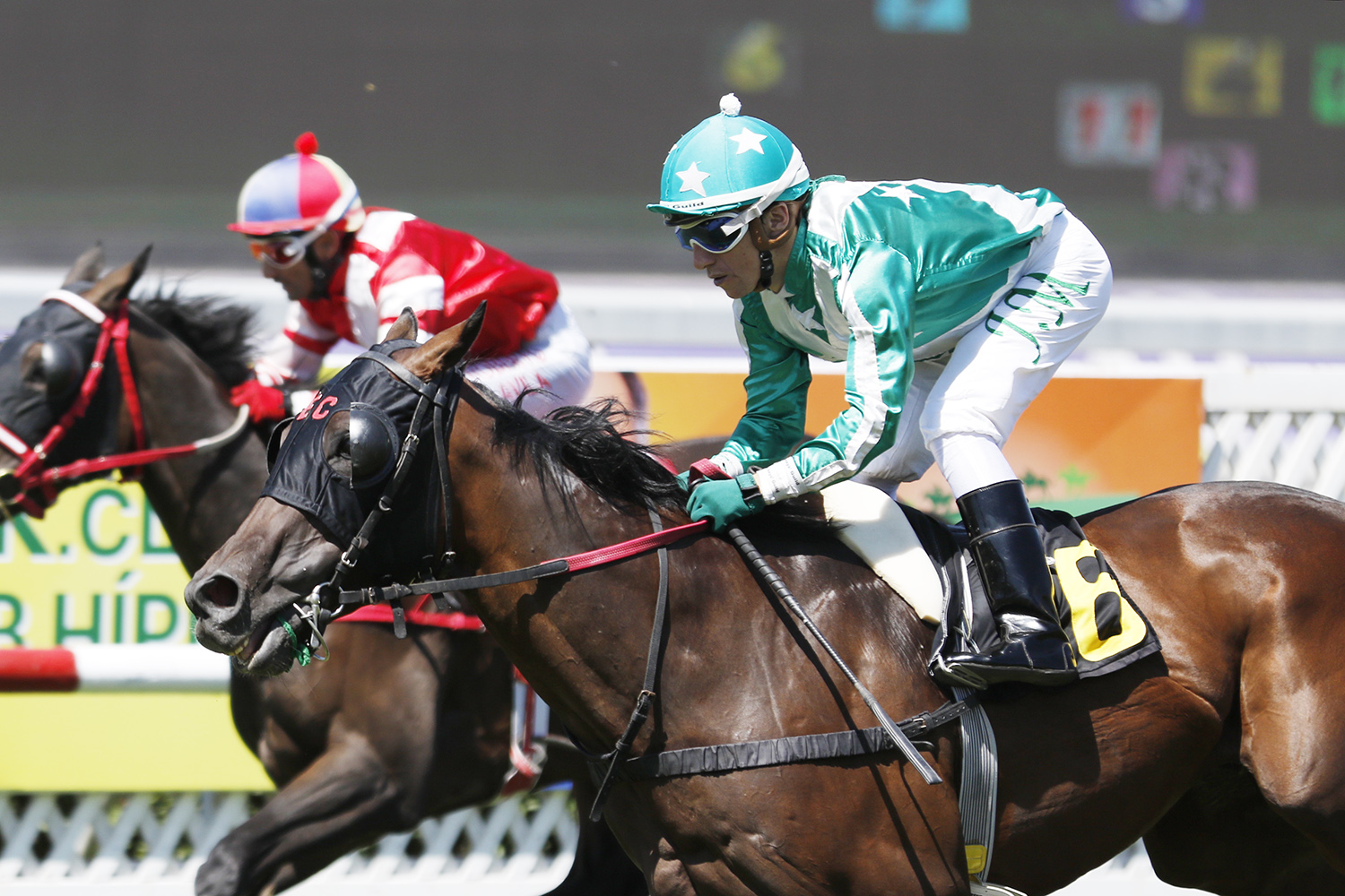 Jerry Yake (Henrythenavigator) gana Handicap (1200m-Pasto-CHS). - Staff ElTurf.com