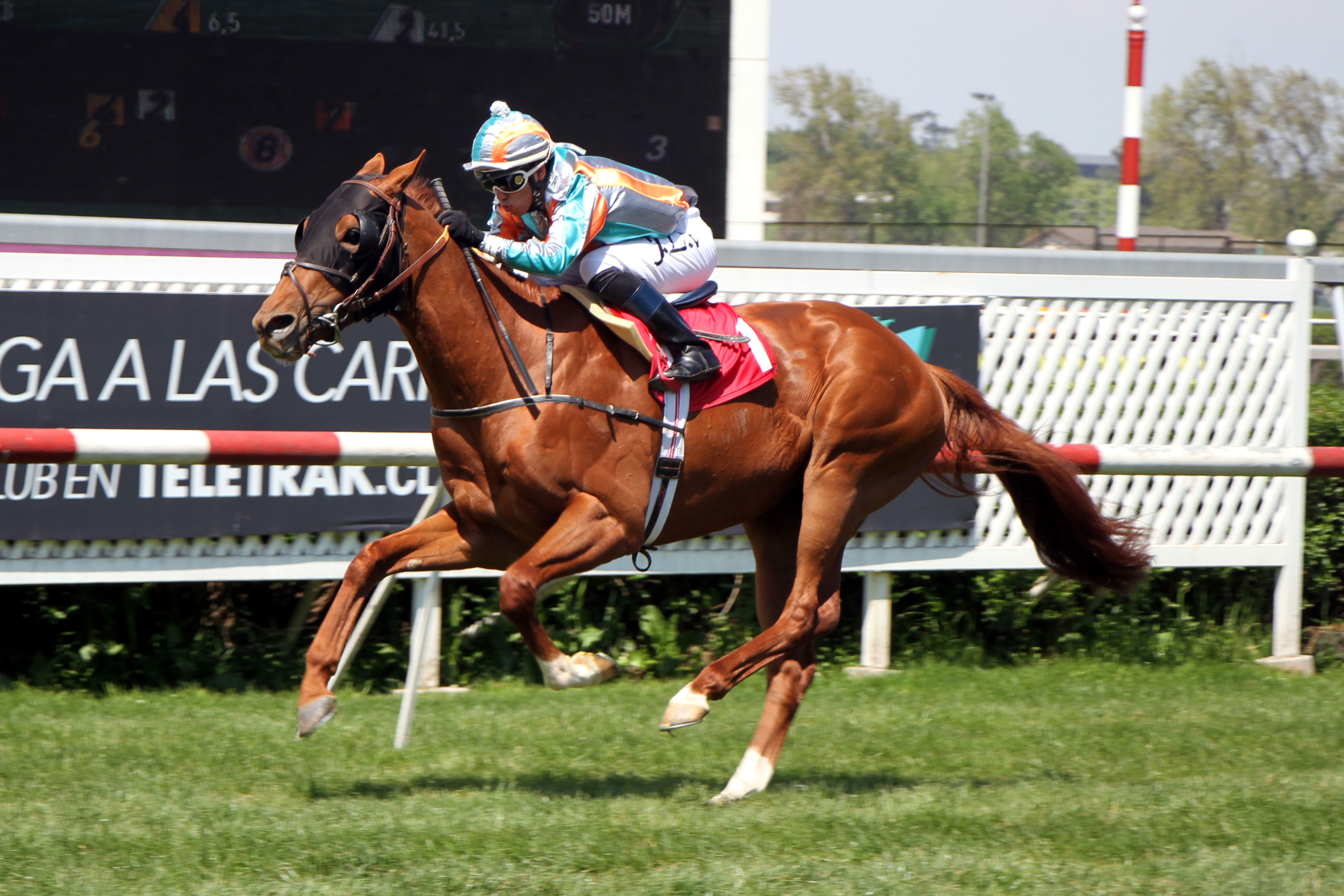 Premio Final (Dylan Thomas) se adjudica Condicional (1600m-Pasto-CHS). - Staff ElTurf.com