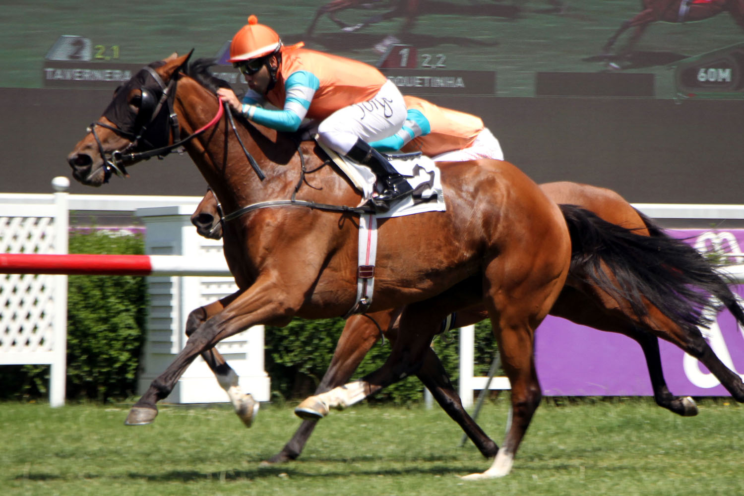 Tavernera, del bajo handicap a doble ganadora clásica - Juan Antonio Torres