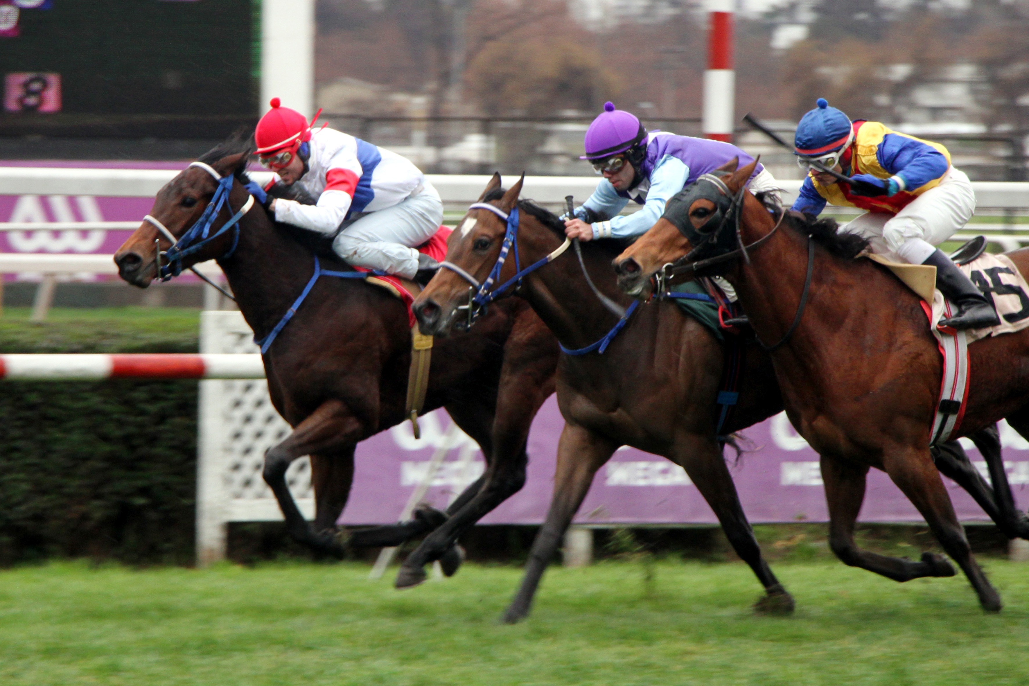 Elsa (Dance Brightly) brilla en Condicional (1000m-Pasto-CHS). - Staff ElTurf.com