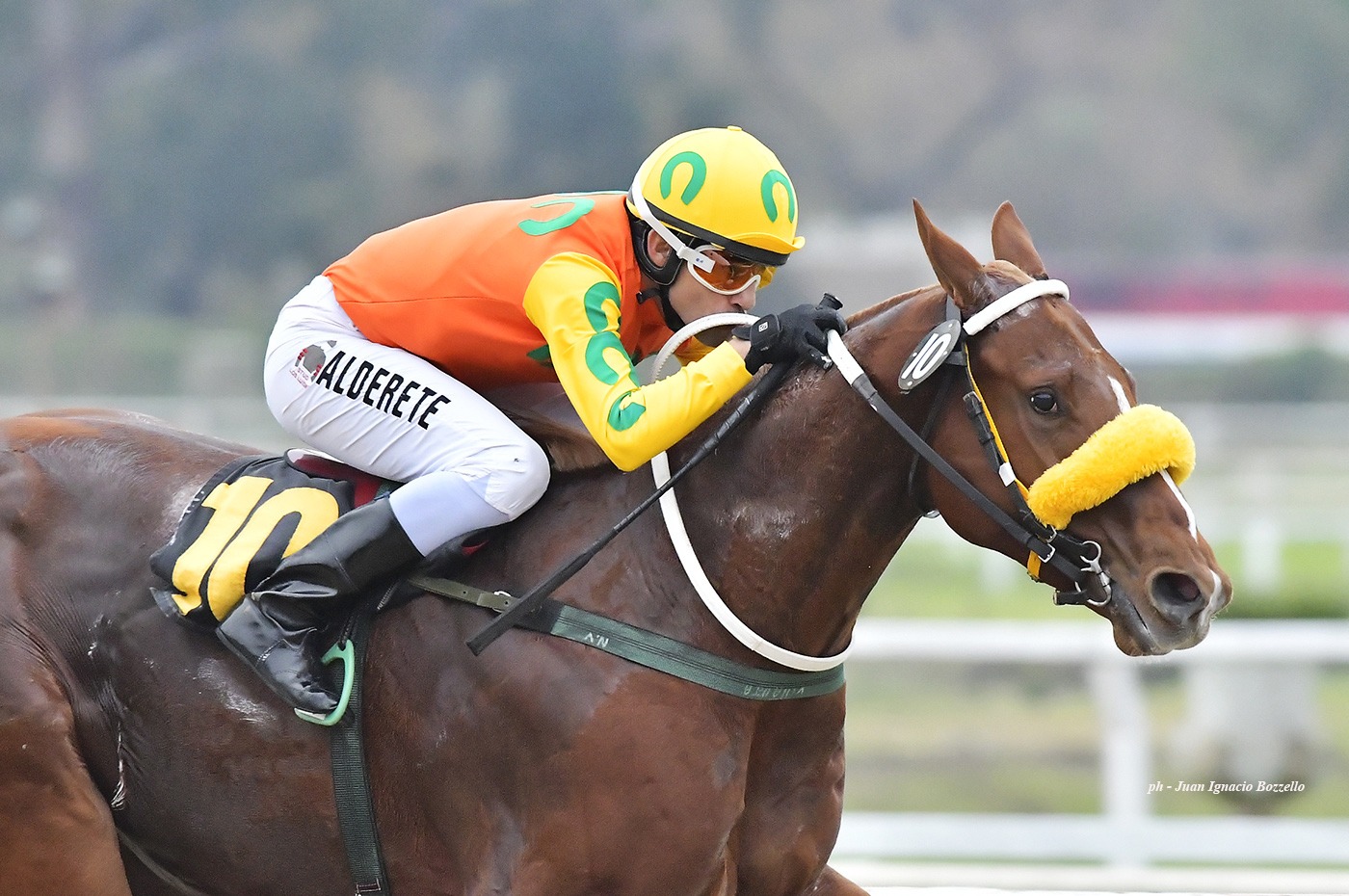 Che Evasor (Greenspring) se quedó con la victoria en Condicional (1400m-Arena-PAL). - Staff ElTurf.com