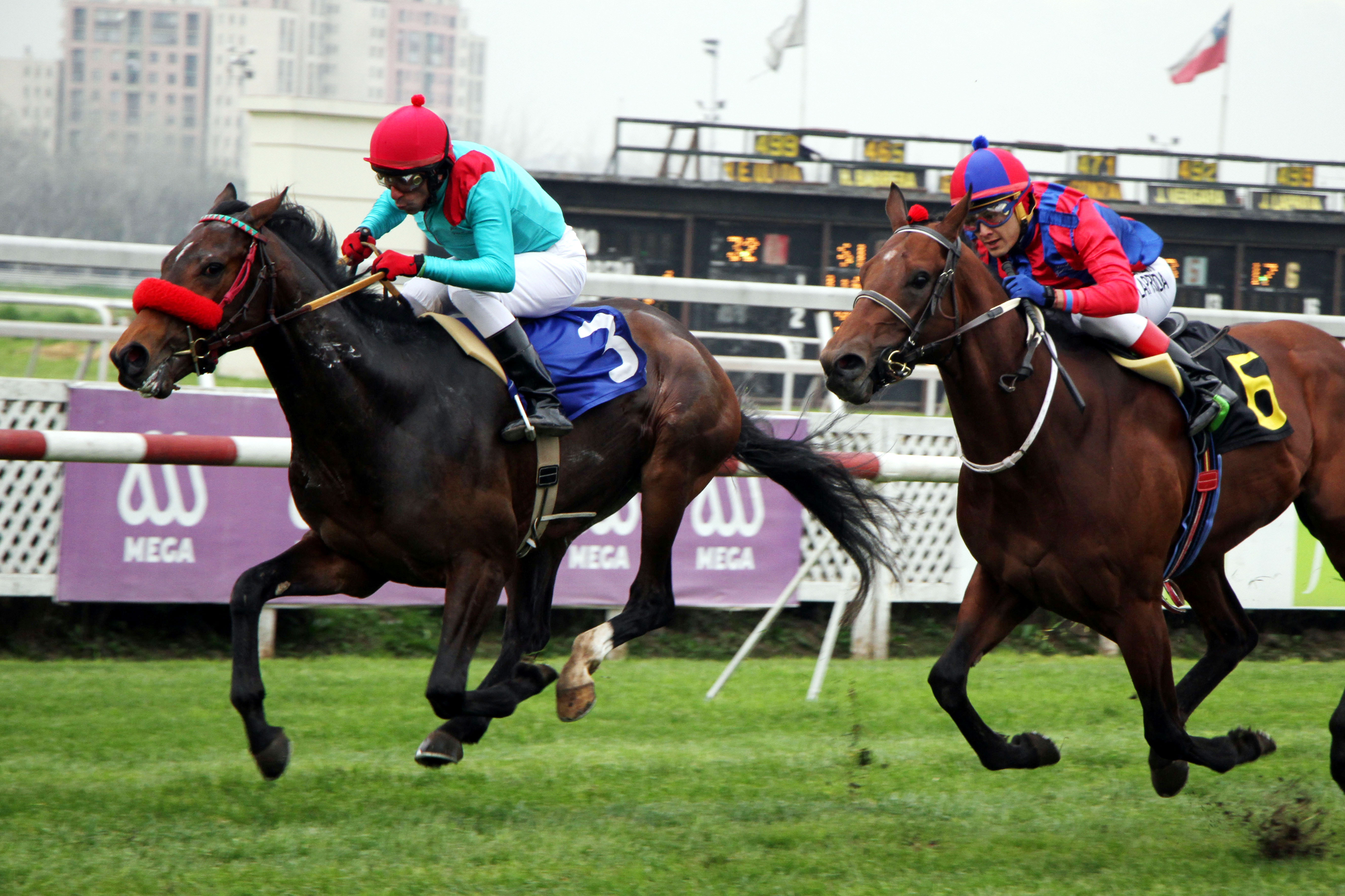 Aurio (Lookin At Lucky) ganó Condicional (1600m-Pasto-CHS). - Staff ElTurf.com
