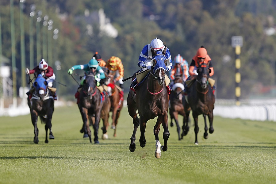 Irish Glory (Irish Brother) se adjudica el Clásico Alfredo L.s. Jackson (G3-1900m-Pasto-VSC). - Staff ElTurf.com