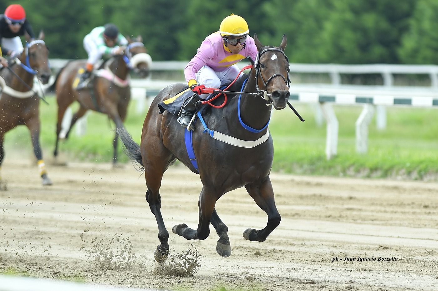 La Allegra (Filoso Emperor) se impuso en Condicional (1000m-Arena-PAL). - Staff ElTurf.com