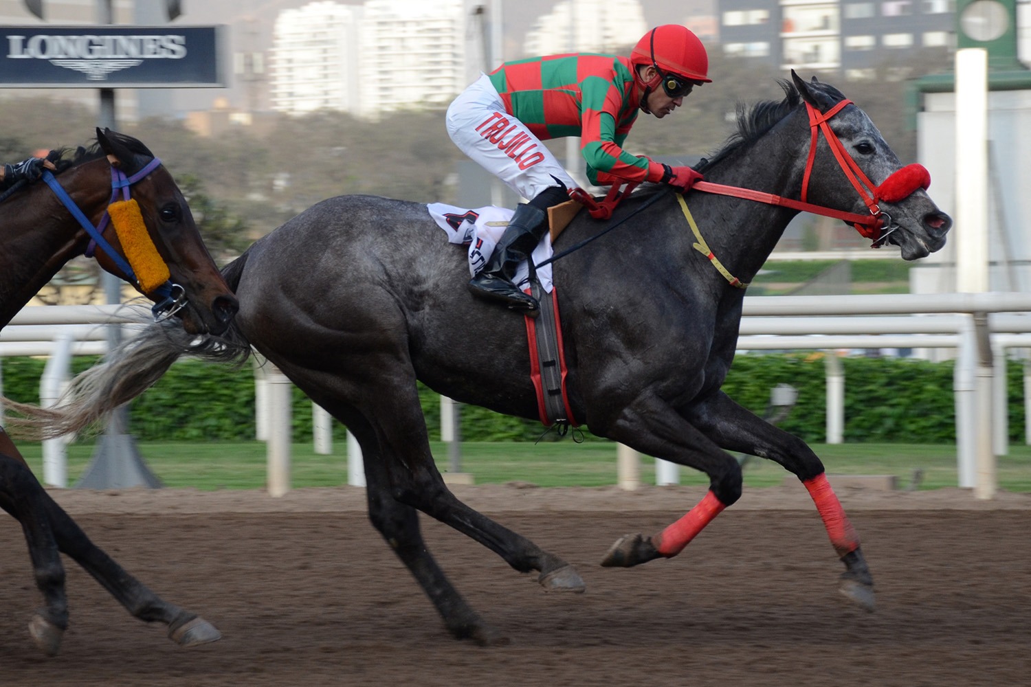 Malagueta (Meal Penalty) se adjudica Condicional (1000m-Arena-MONT). - Staff ElTurf.com