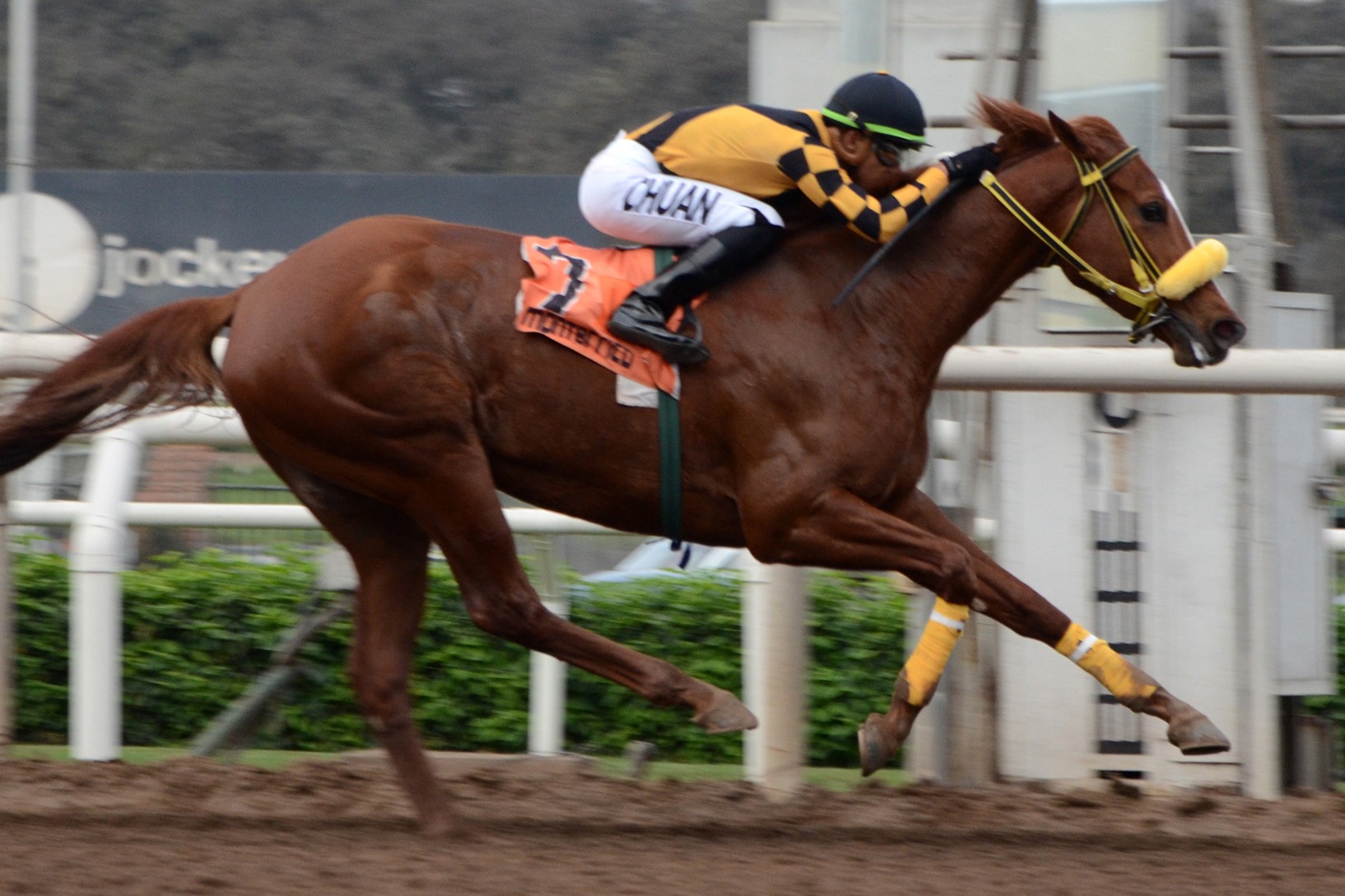 Coleccion Privada (Privately Held) se impuso en Condicional (1500m-Arena-MONT). - Staff ElTurf.com