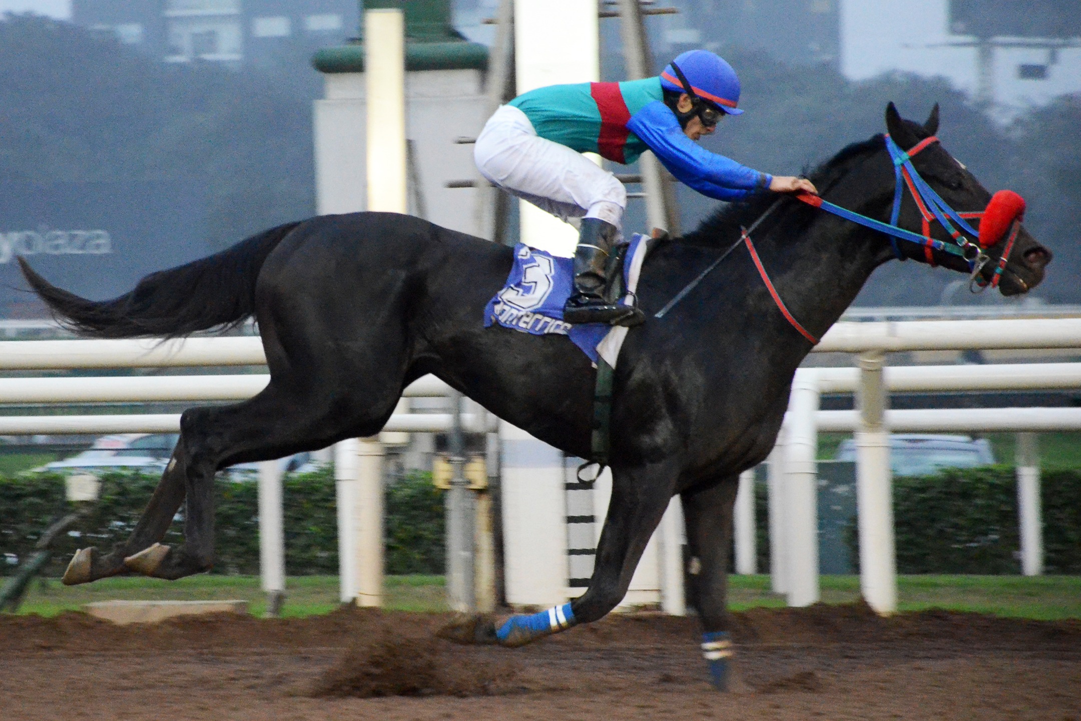 Inbox (Eye on Jacob) conquistó Condicional (1200m-Arena-MONT). - Staff ElTurf.com
