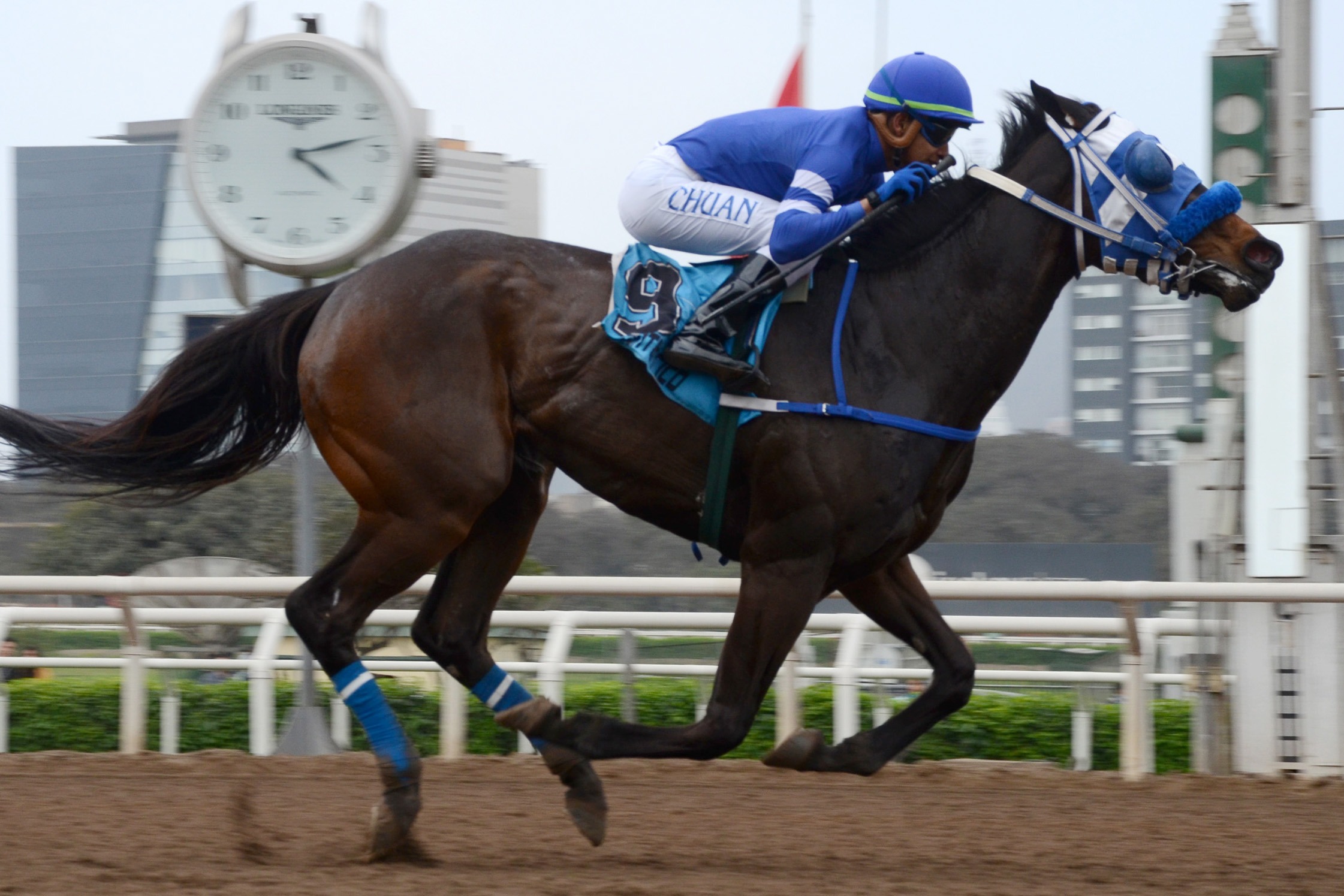 Farrow (Forestry) se queda con la victoria en Condicional (1000m-Arena-MONT). - Staff ElTurf.com